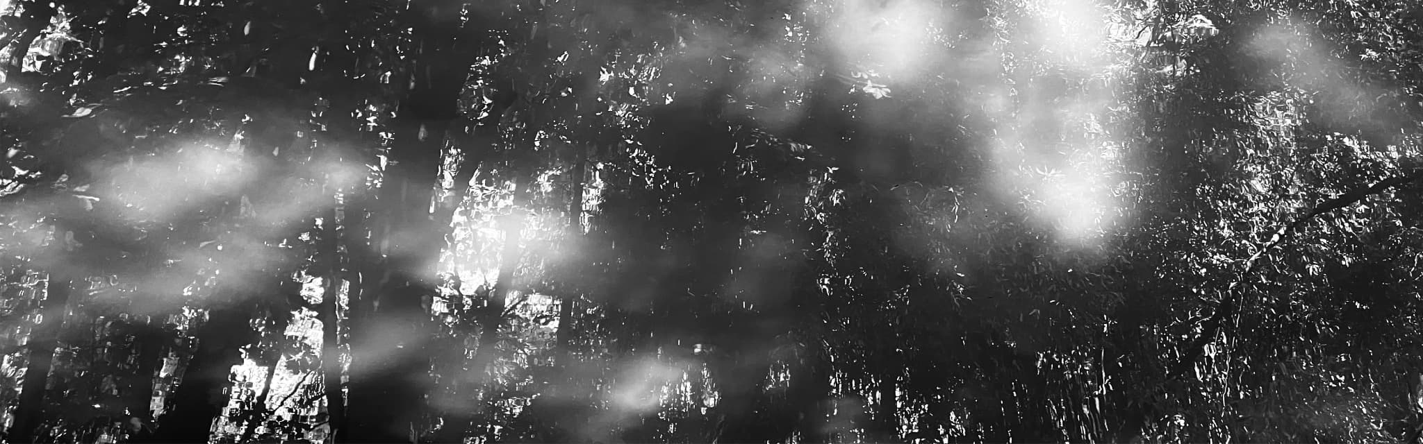 Musique de chambre
