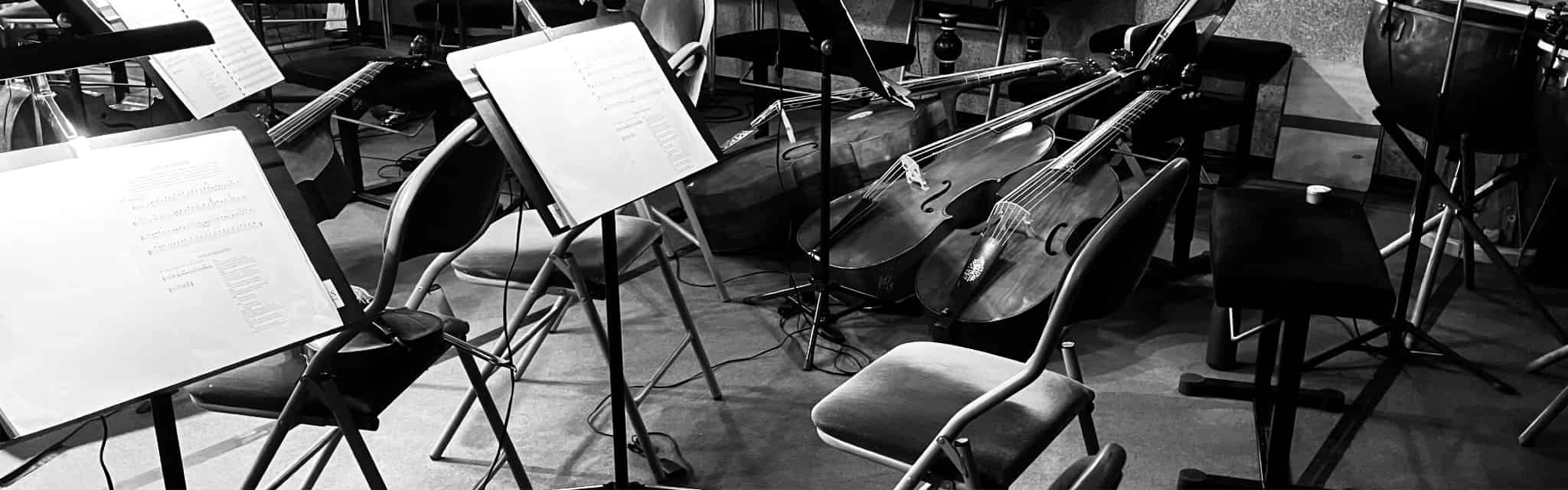 Musiques pour orchestre et pour ensemble dirigé